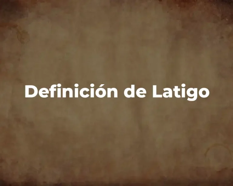 Definición de Latigo