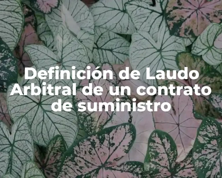 Definición de Laudo Arbitral de un contrato de suministro