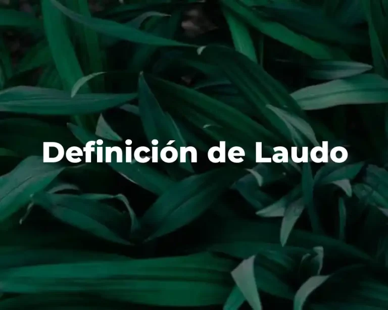 Definición de Laudo