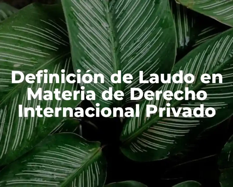 Definición de Laudo en Materia de Derecho Internacional Privado