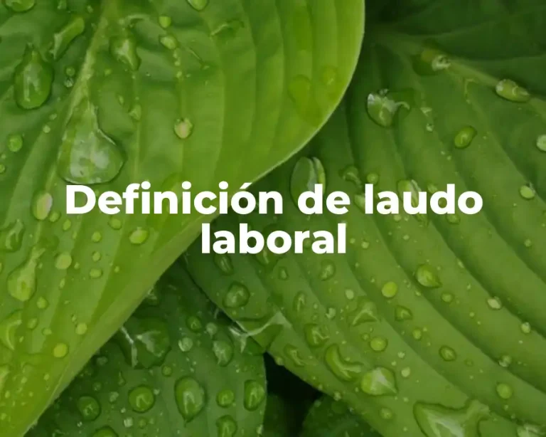 Definición de laudo laboral