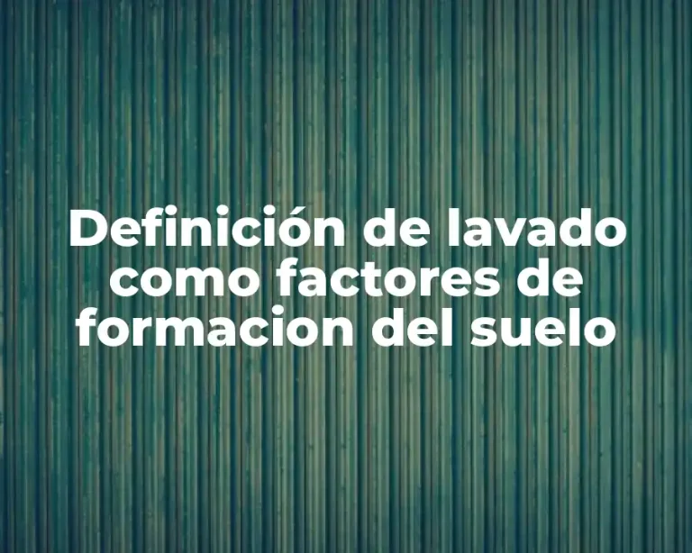 Definición de lavado como factores de formacion del suelo