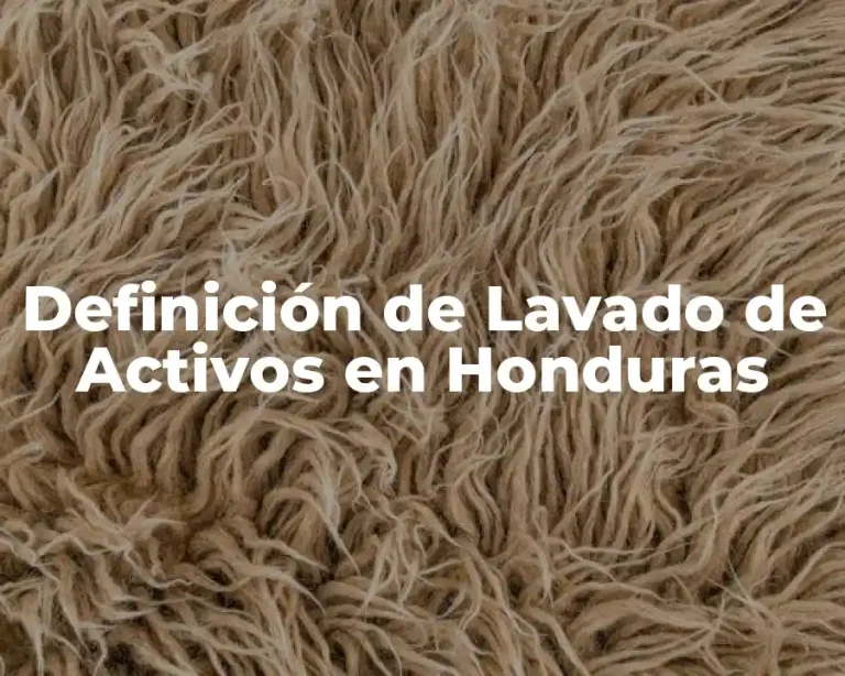 Definición de Lavado de Activos en Honduras