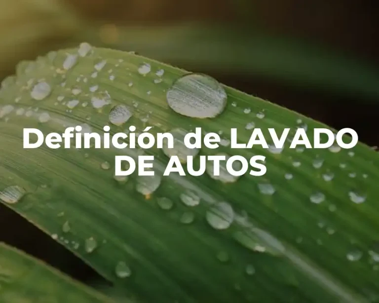 Definición de LAVADO DE AUTOS