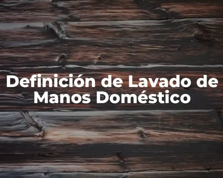 Definición de Lavado de Manos Doméstico