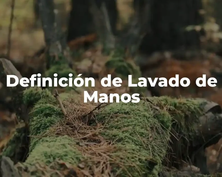 Definición de Lavado de Manos