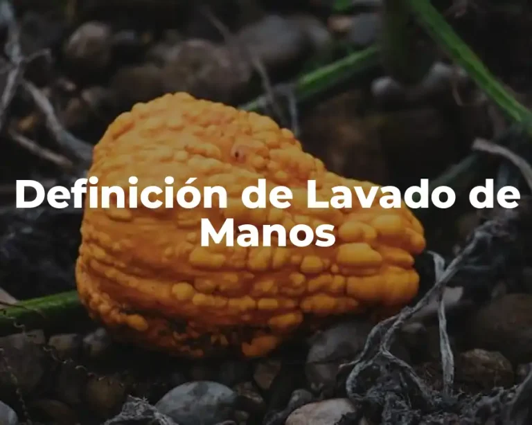 Definición de Lavado de Manos