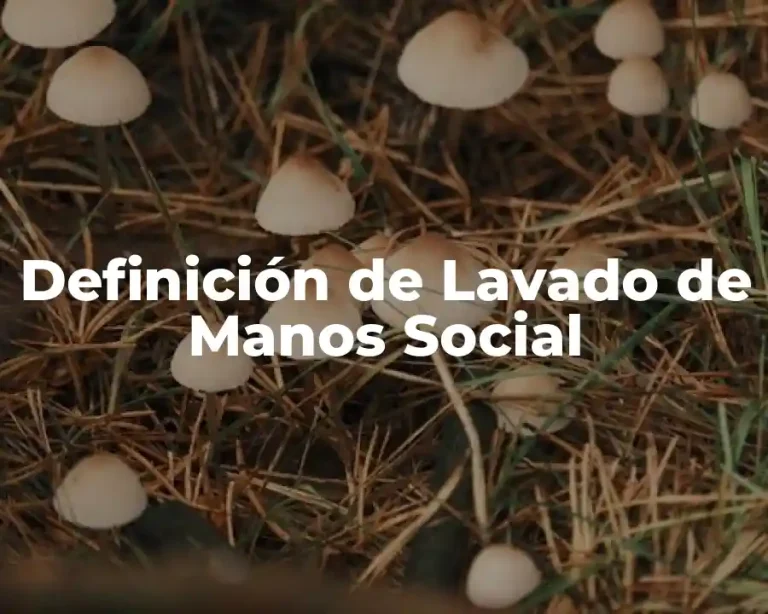 Definición de Lavado de Manos Social