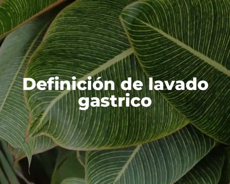 Definición de lavado gastrico