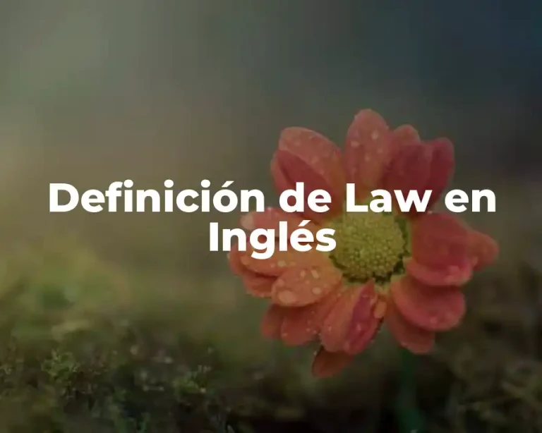 Definición de Law en Inglés