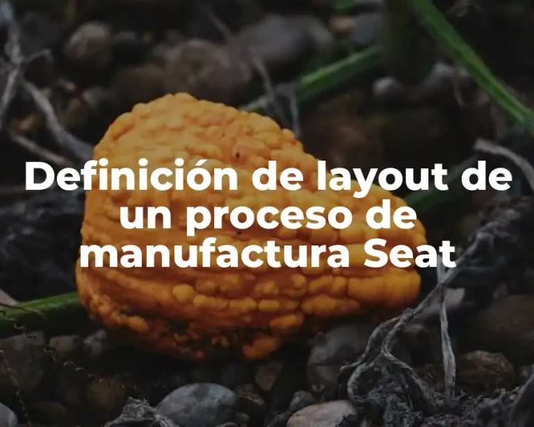 Definición de layout de un proceso de manufactura Seat