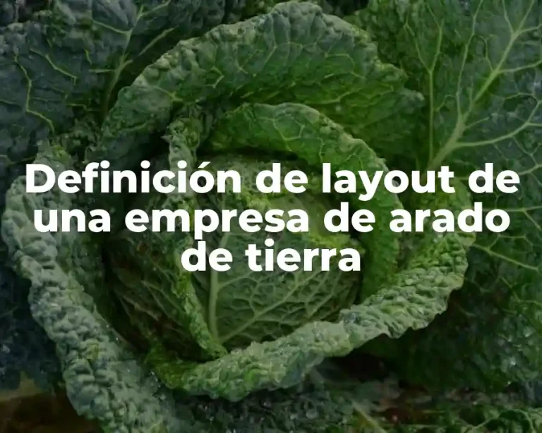 Definición de layout de una empresa de arado de tierra