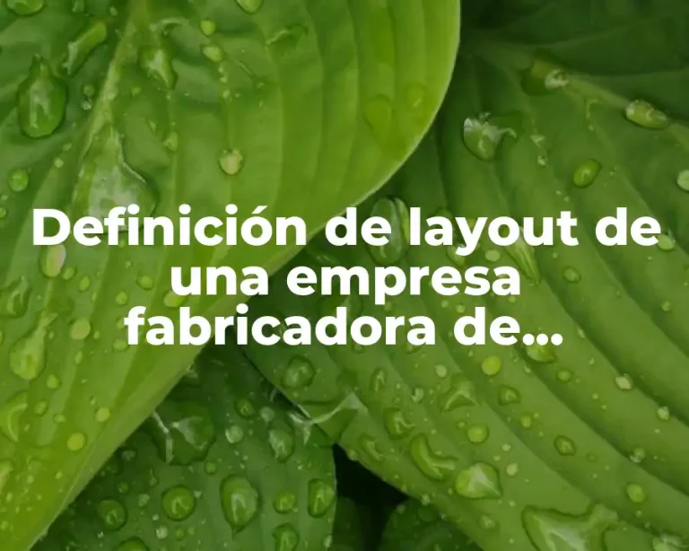 Definición de layout de una empresa fabricadora de boliografos