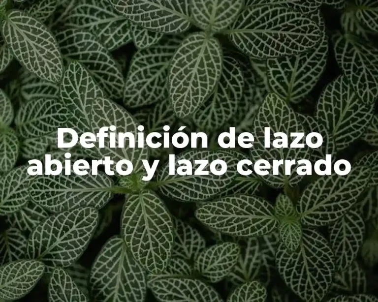 Definición de lazo abierto y lazo cerrado