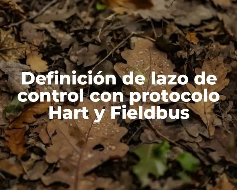 Definición de lazo de control con protocolo Hart y Fieldbus
