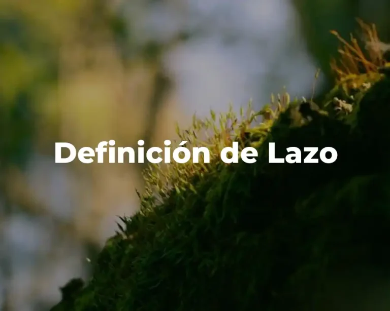 Definición de Lazo