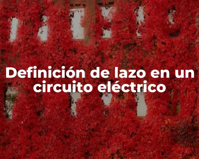 Definición de lazo en un circuito eléctrico