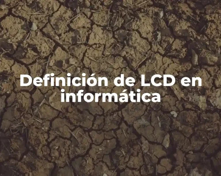 Definición de LCD en informática