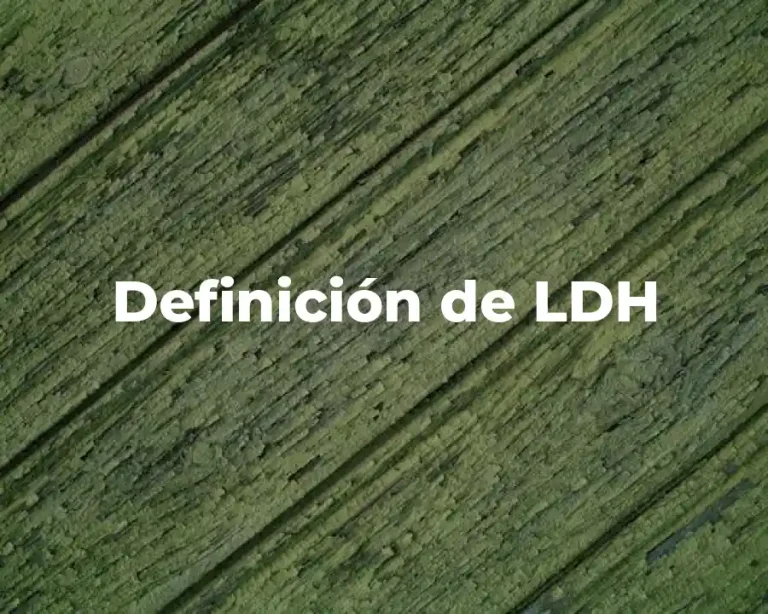 Definición de LDH