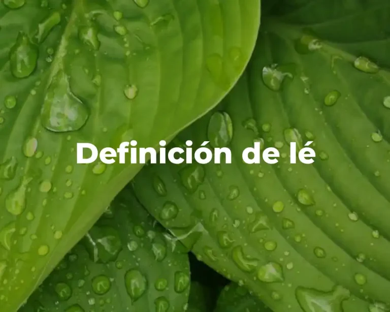 Definición de lé