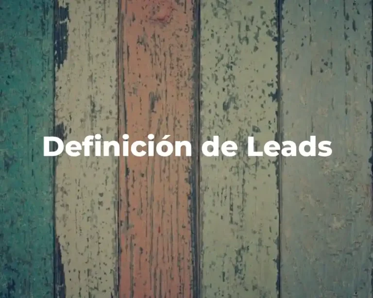 Definición de Leads