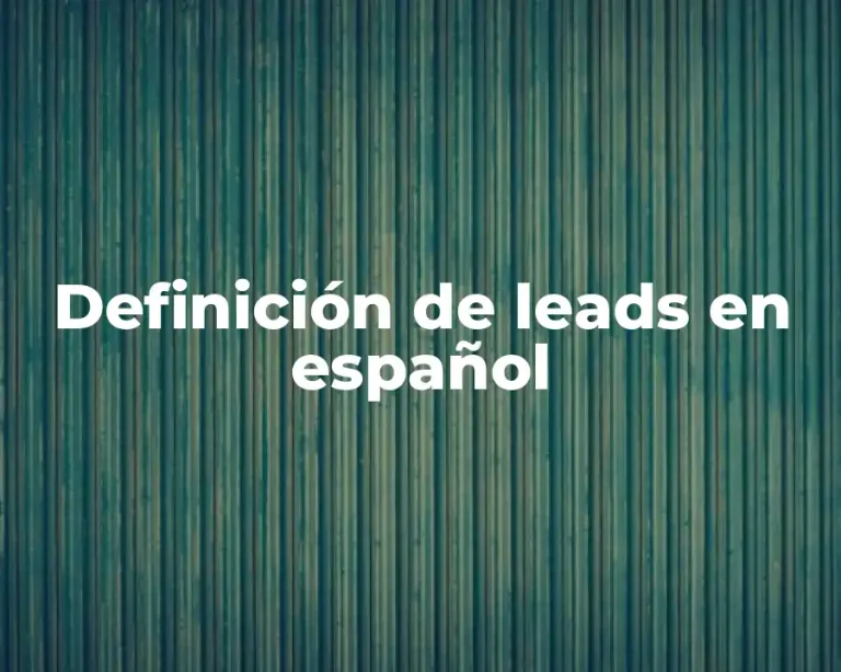 Definición de leads en español