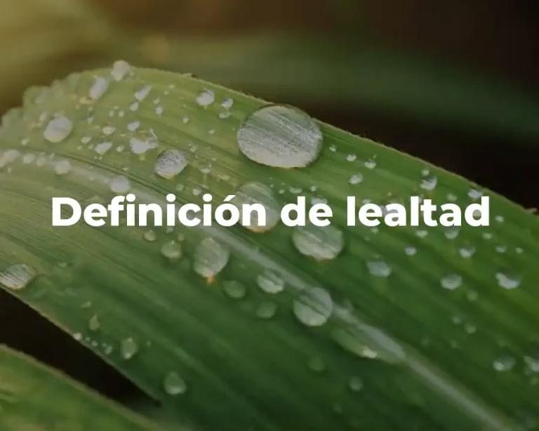 Definición de lealtad