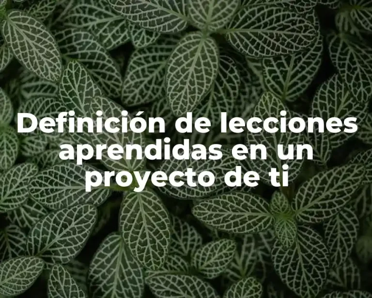 Definición de lecciones aprendidas en un proyecto de ti