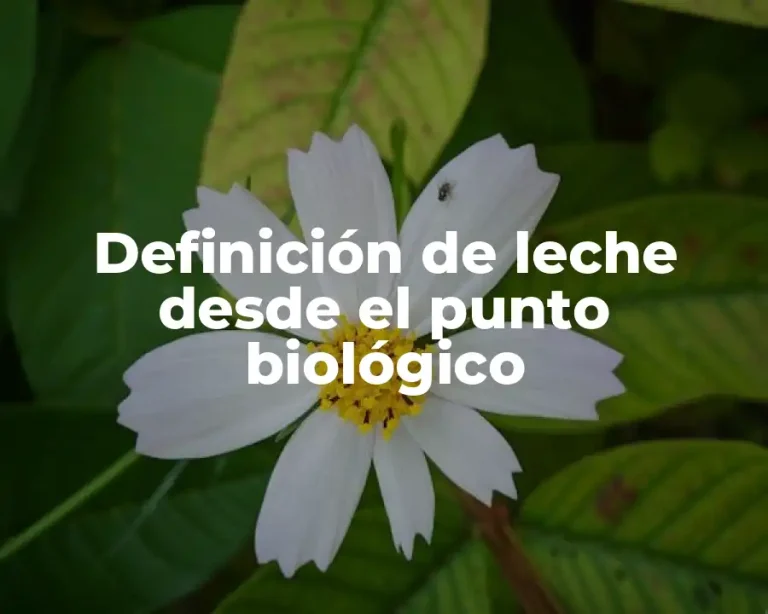 Definición de leche desde el punto biológico
