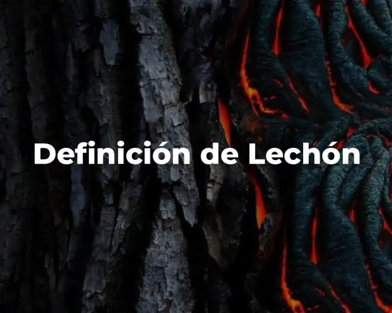 Definición de Lechón