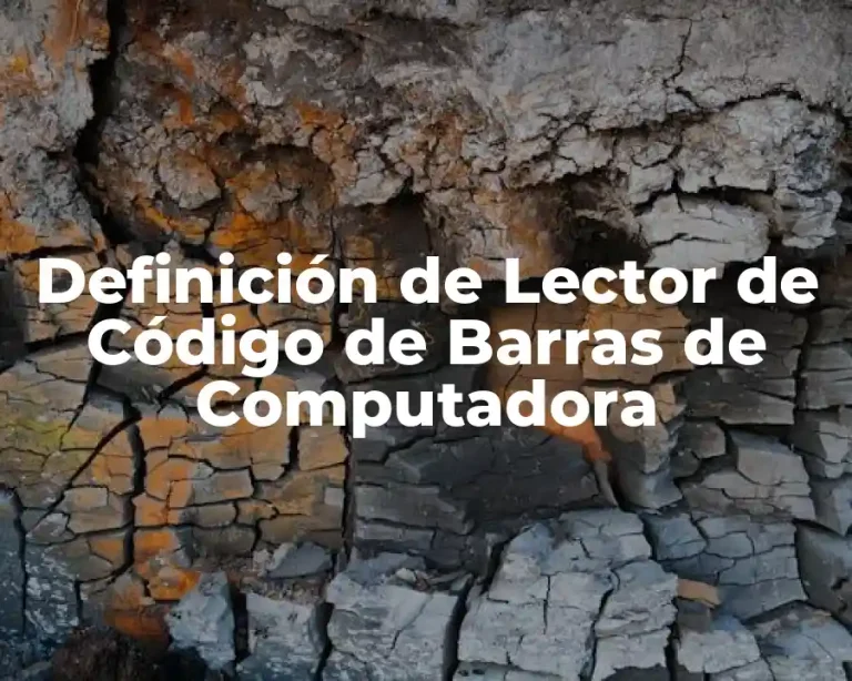 Definición de Lector de Código de Barras de Computadora