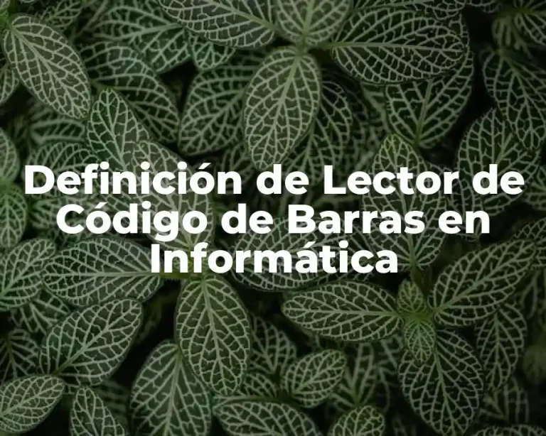 Definición de Lector de Código de Barras en Informática
