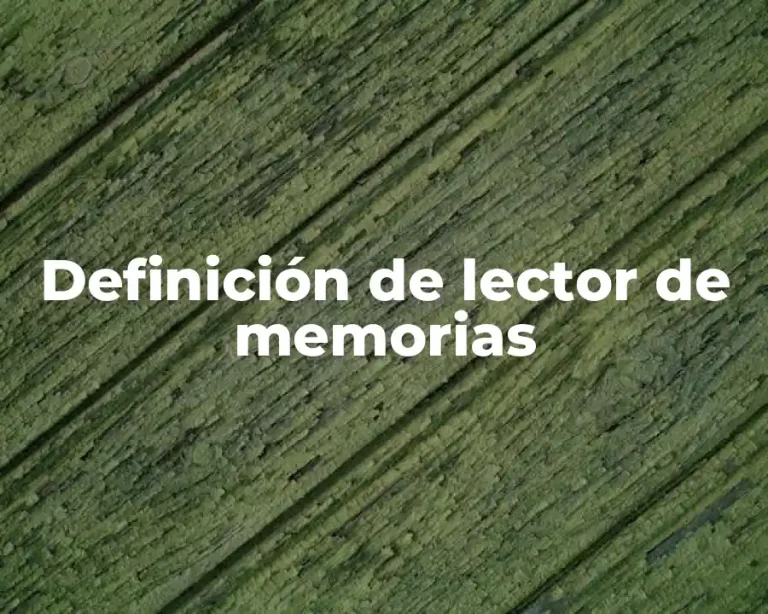 Definición de lector de memorias