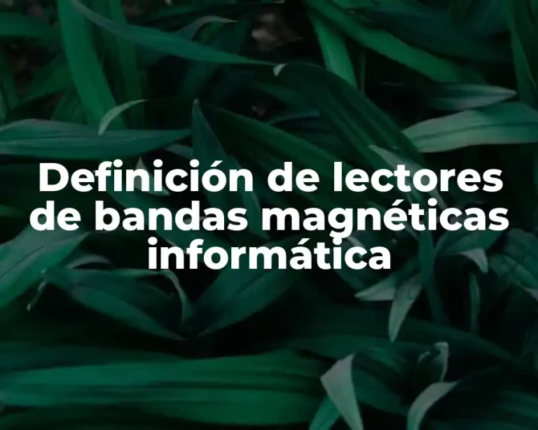 Definición de lectores de bandas magnéticas informática