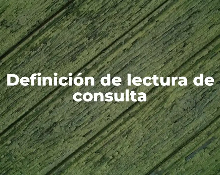 Definición de lectura de consulta