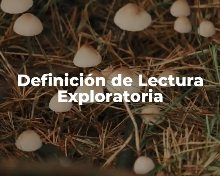 Definición de Lectura Exploratoria