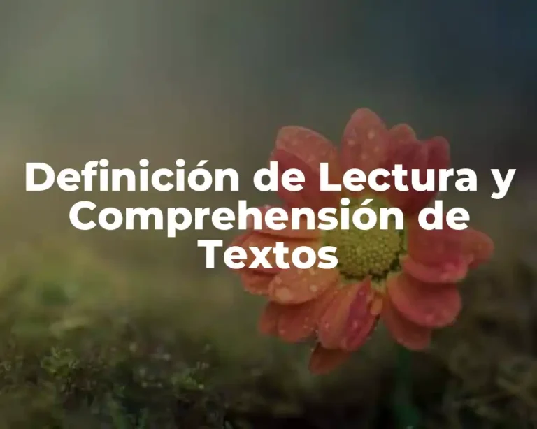 Definición de Lectura y Comprehensión de Textos