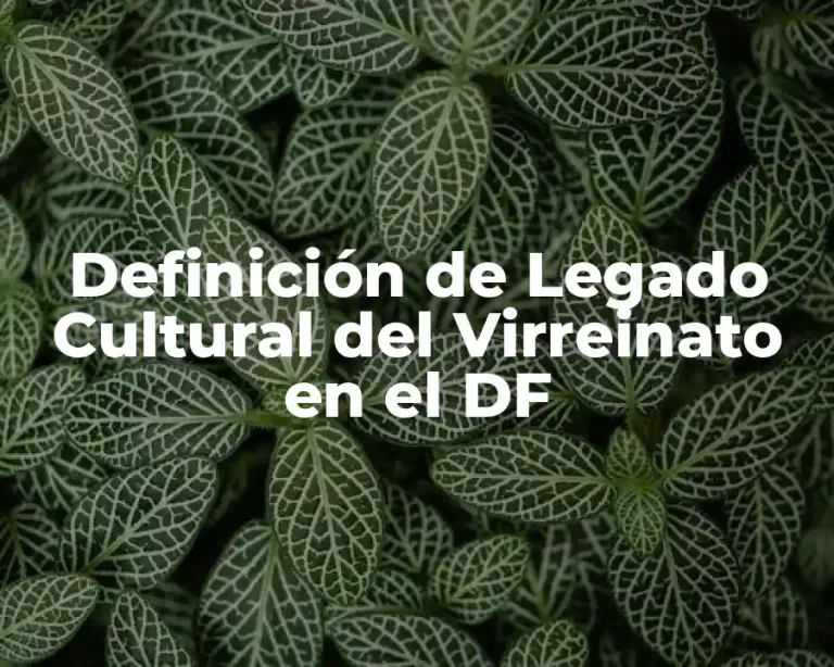 Definición de Legado Cultural del Virreinato en el DF