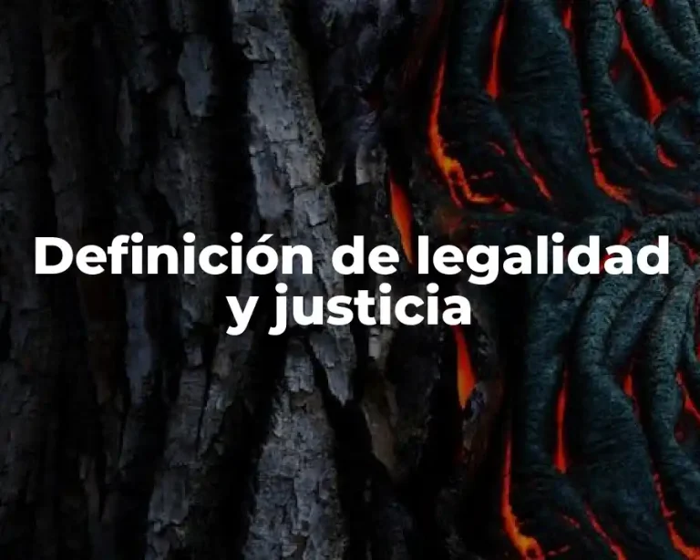 Definición de legalidad y justicia