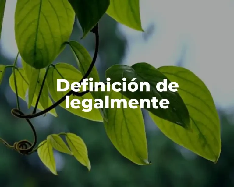 Definición de legalmente