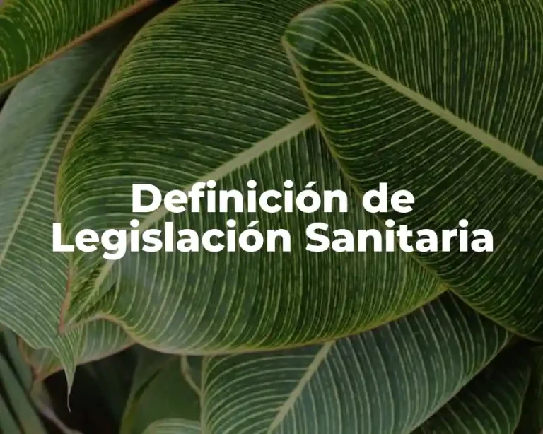 Definición de Legislación Sanitaria