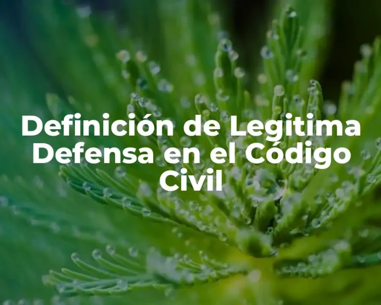 Definición de Legitima Defensa en el Código Civil