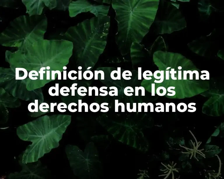 Definición de legítima defensa en los derechos humanos