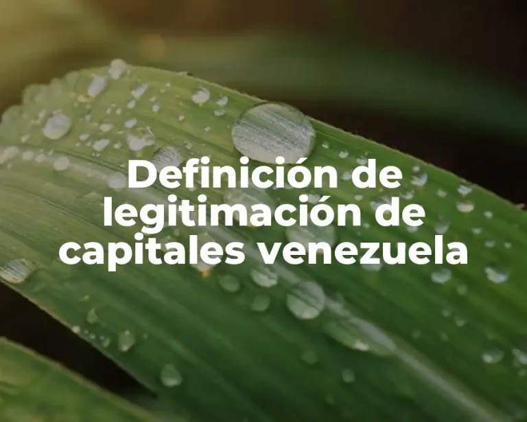 Definición de legitimación de capitales venezuela