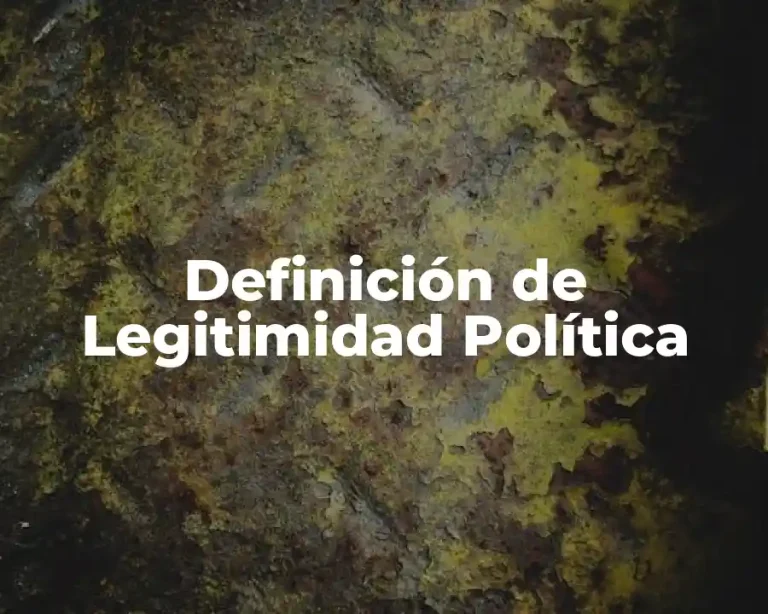 Definición de Legitimidad Política