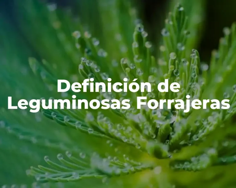 Definición de Leguminosas Forrajeras