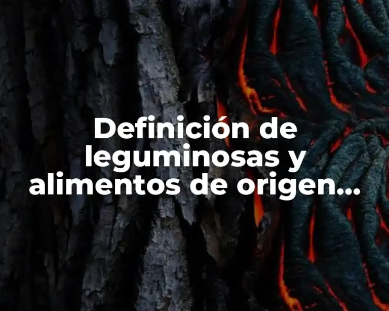 Definición de leguminosas y alimentos de origen animal