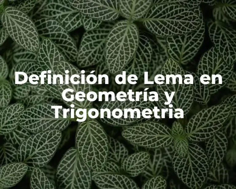 Definición de Lema en Geometría y Trigonometria