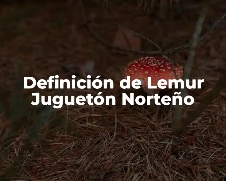 Definición de Lemur Juguetón Norteño