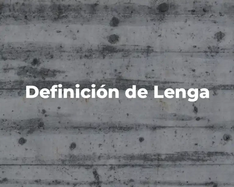 Definición de Lenga